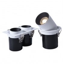 Recessed Stretchable Double heads Spotlight Adjustable Spotlight for Shop Lighting